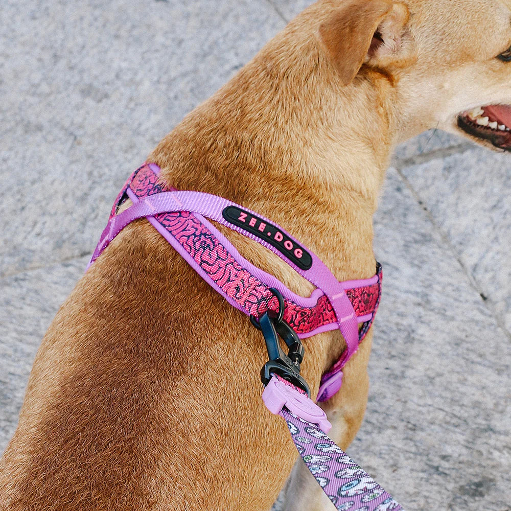 Zee Dog Softer Walk Harness | Brain