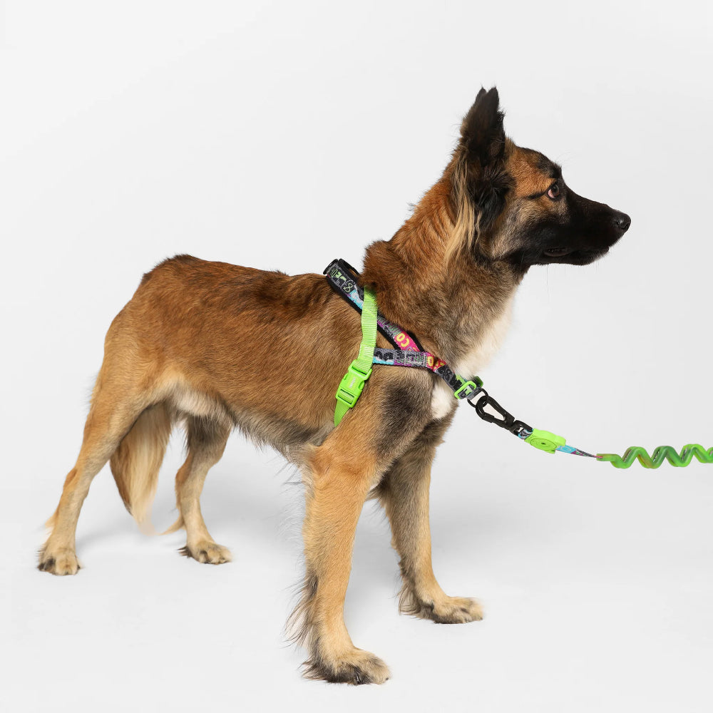 Zee Dog Softer Walk Harness | Manifesto