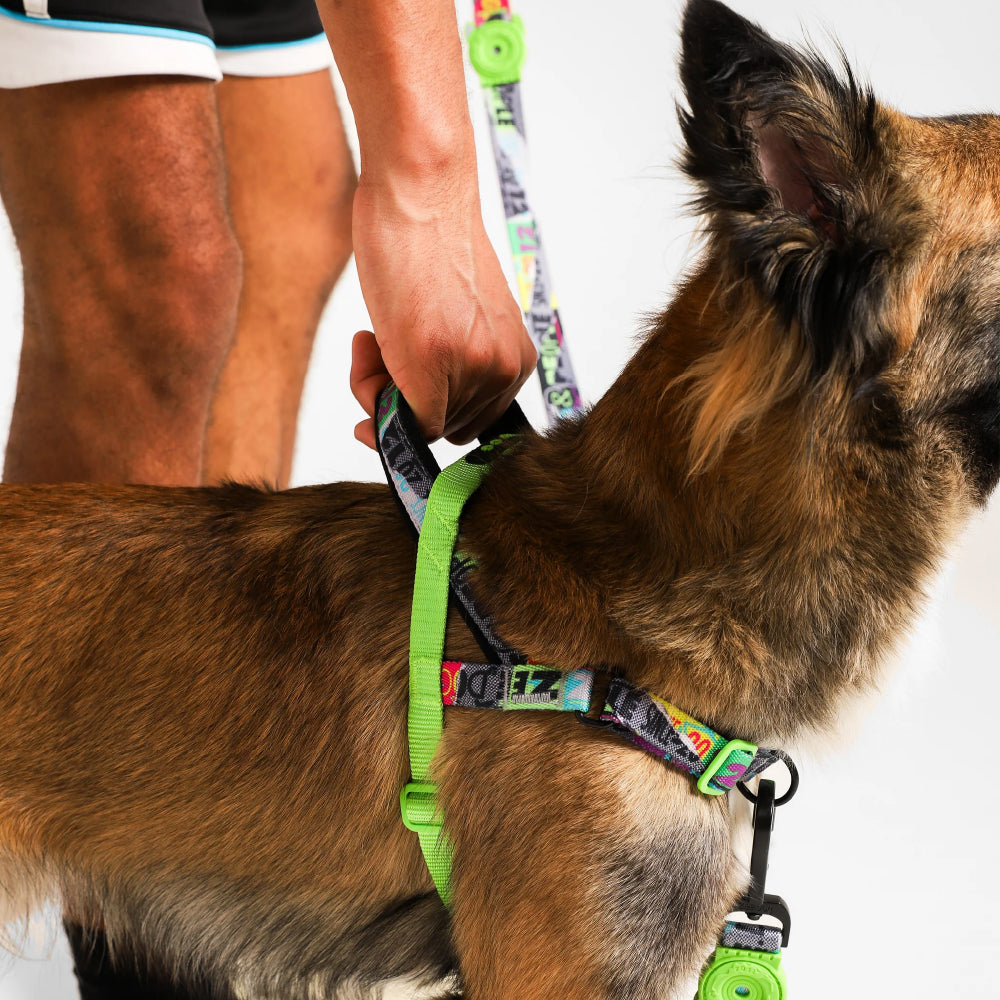 Zee Dog Softer Walk Harness | Manifesto