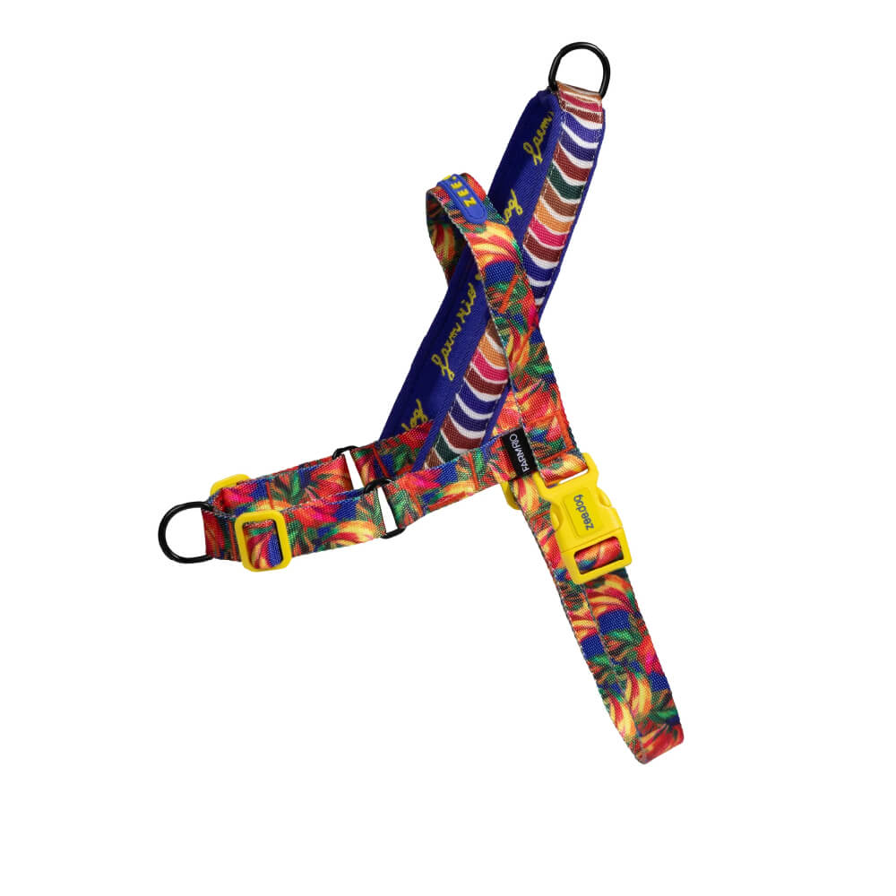 Zee Dog Softer Walk Harness | Samba