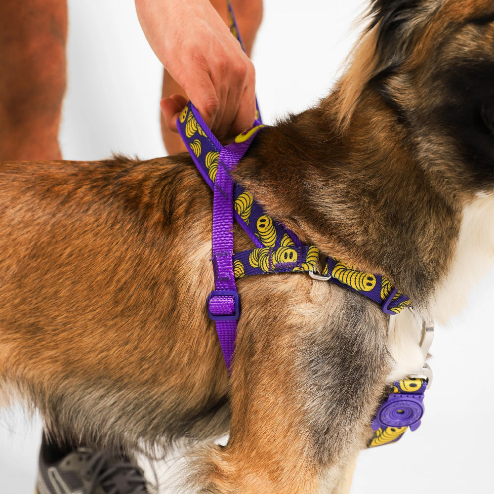 Zee Dog Softer Walk Harness | Zmiley