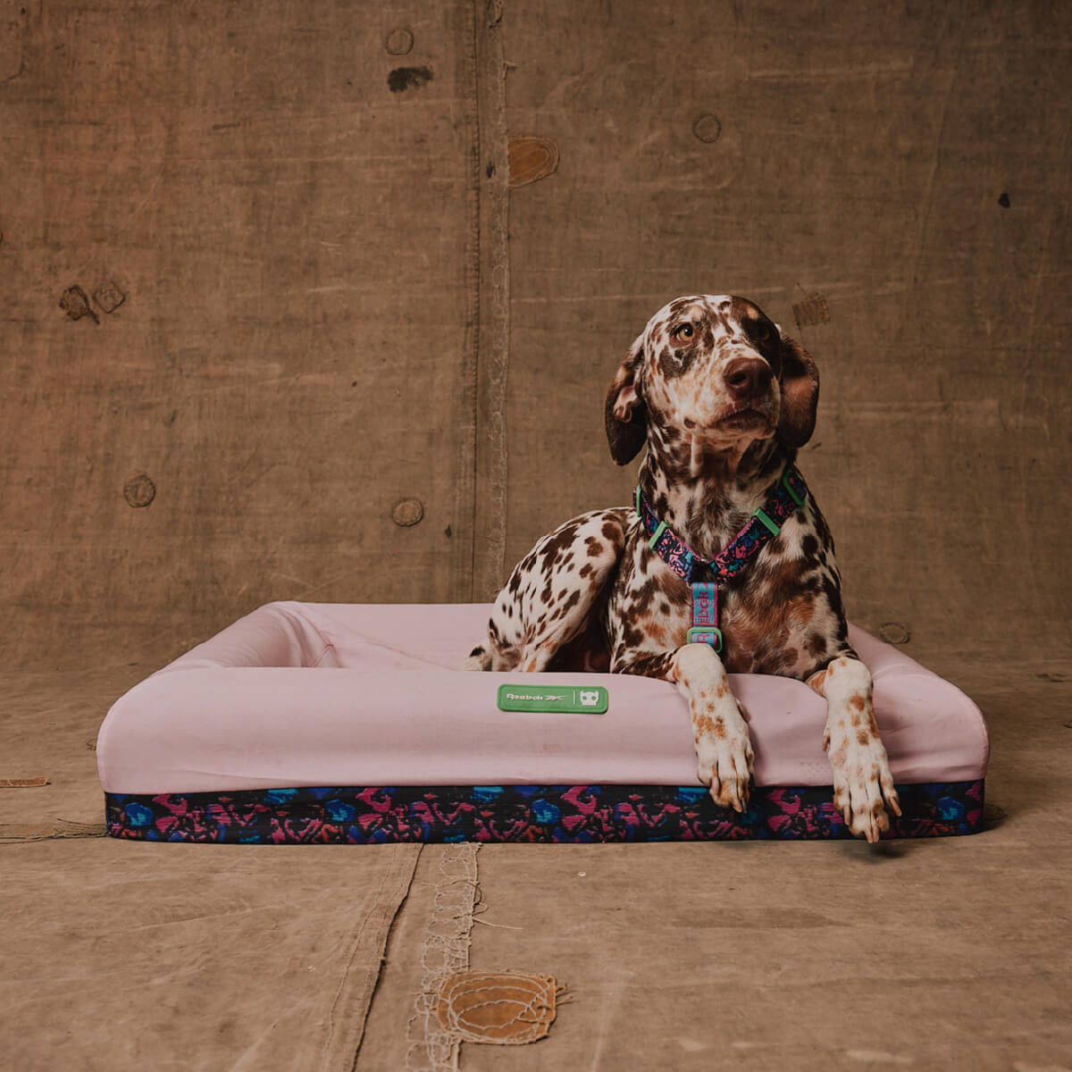 Zee.Dog x Reebok Aerobic Bed