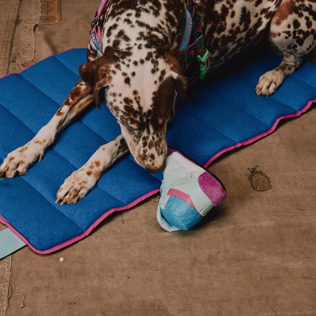 Zee.Dog x Reebok Freestyle Plush Sneaker Toy