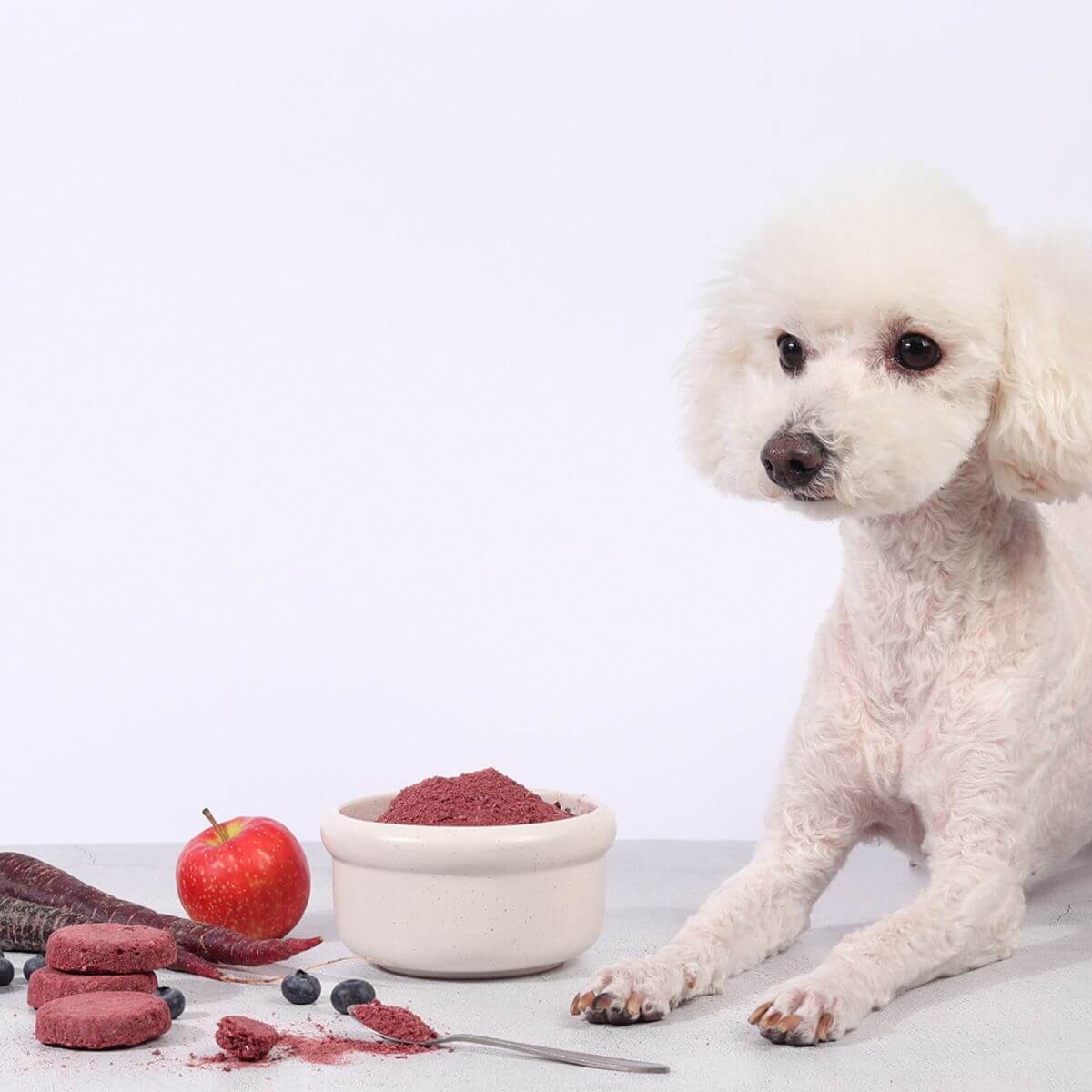 A poodle mix posing with the Arlo Kitchen Detox Purple Veggie Patties against a white background.