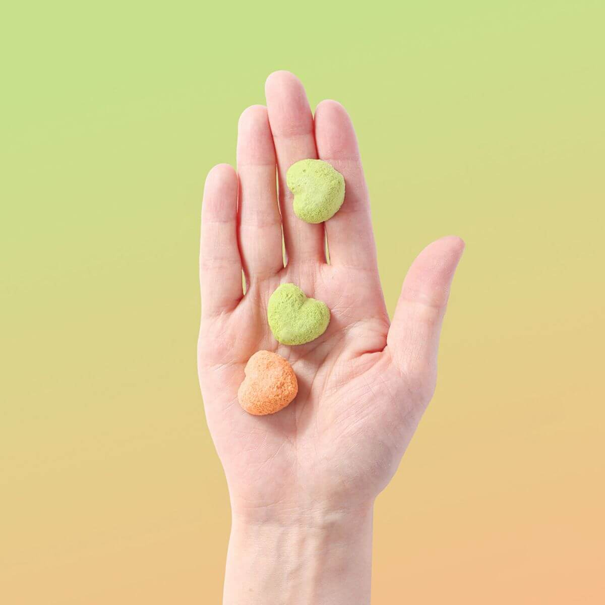 Arlo Kitchen Goat Milk Green Mussel Treats on a palm.