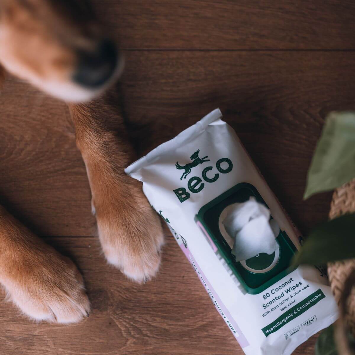 Beco Bamboo Dog Wipes, Coconut Scented, 80 Pack