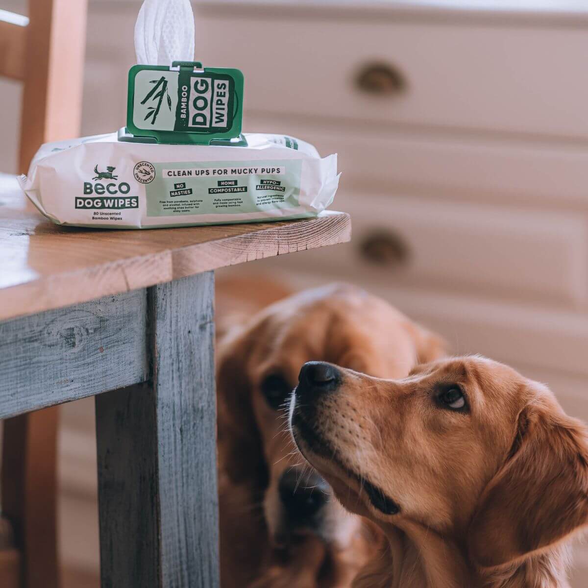 Beco Bamboo Dog Wipes, Unscented, 80 Pack