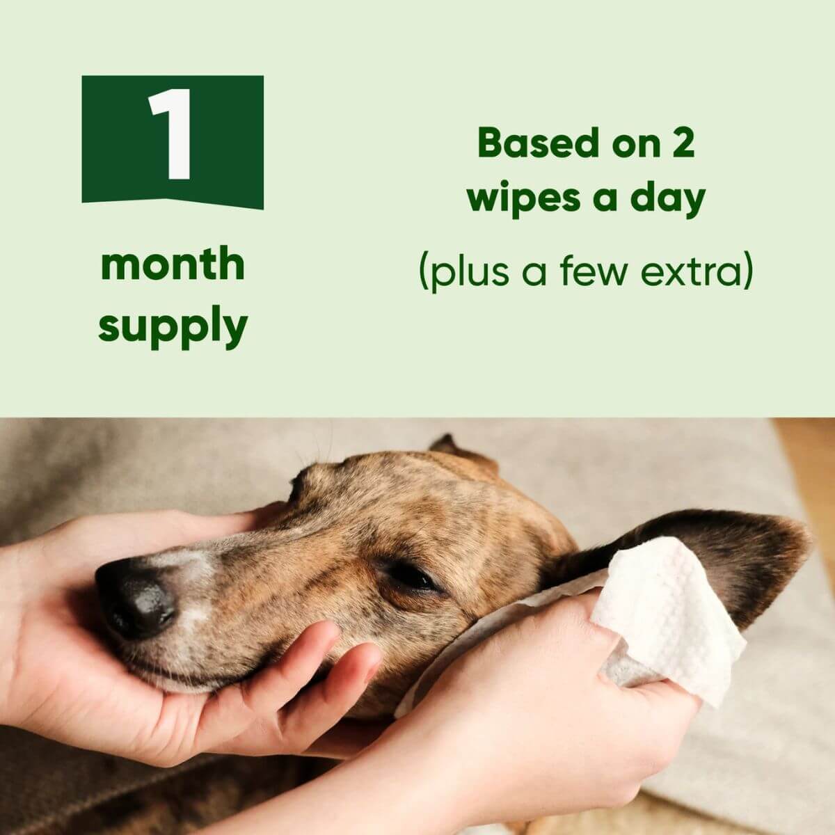 70 sheets of Beco ear wipes sufficient for a 1 month supply. 
