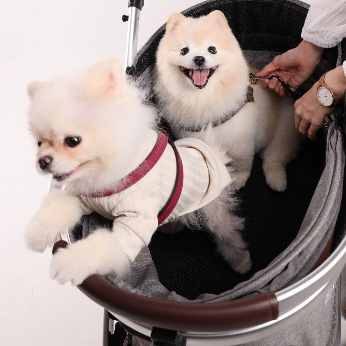 BERND Pets Ava ISOFIX Stroller | 3 Colours