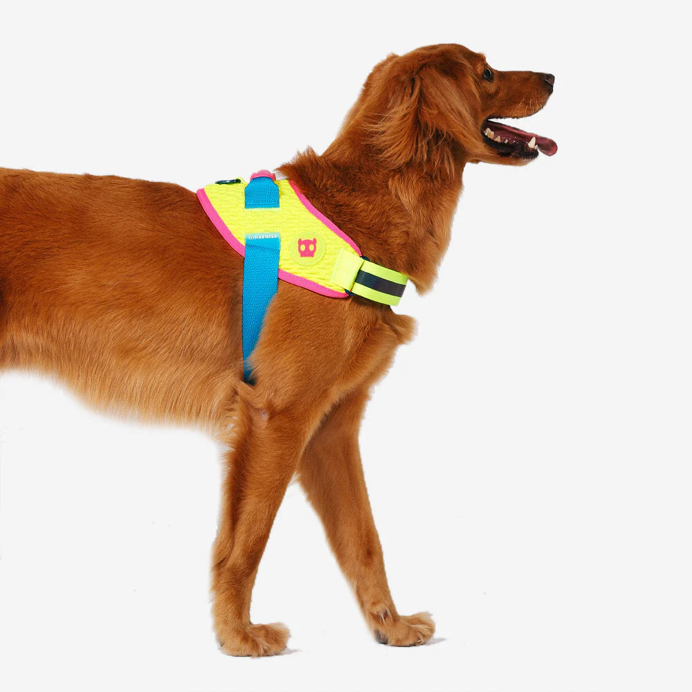 Zee.Dog FlyHarness | CMYK