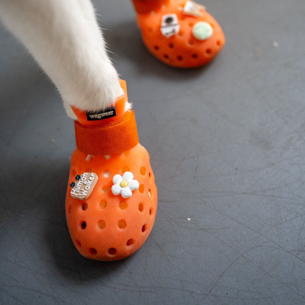 Elyand.co Shoe Charms | Corgi