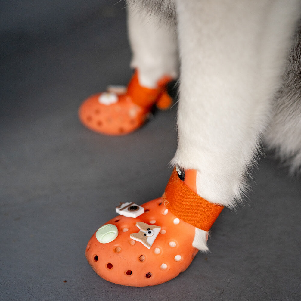 Elyand.co Shoe Charms | Shiba