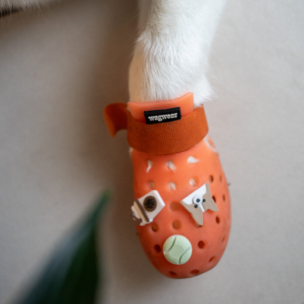 Elyand.co Shoe Charms | Poodle