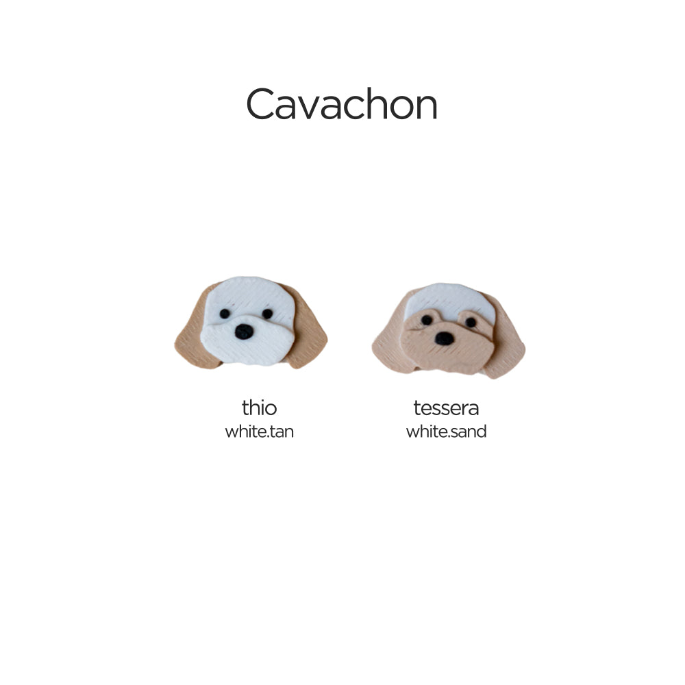 Elyand.co Shoe Charms | Cavachon