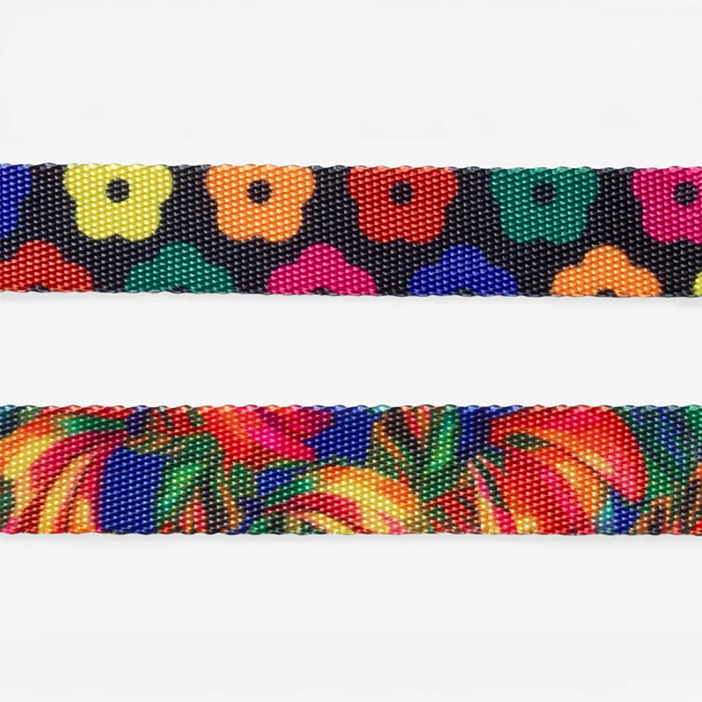 Zee.Dog Collar | Samba
