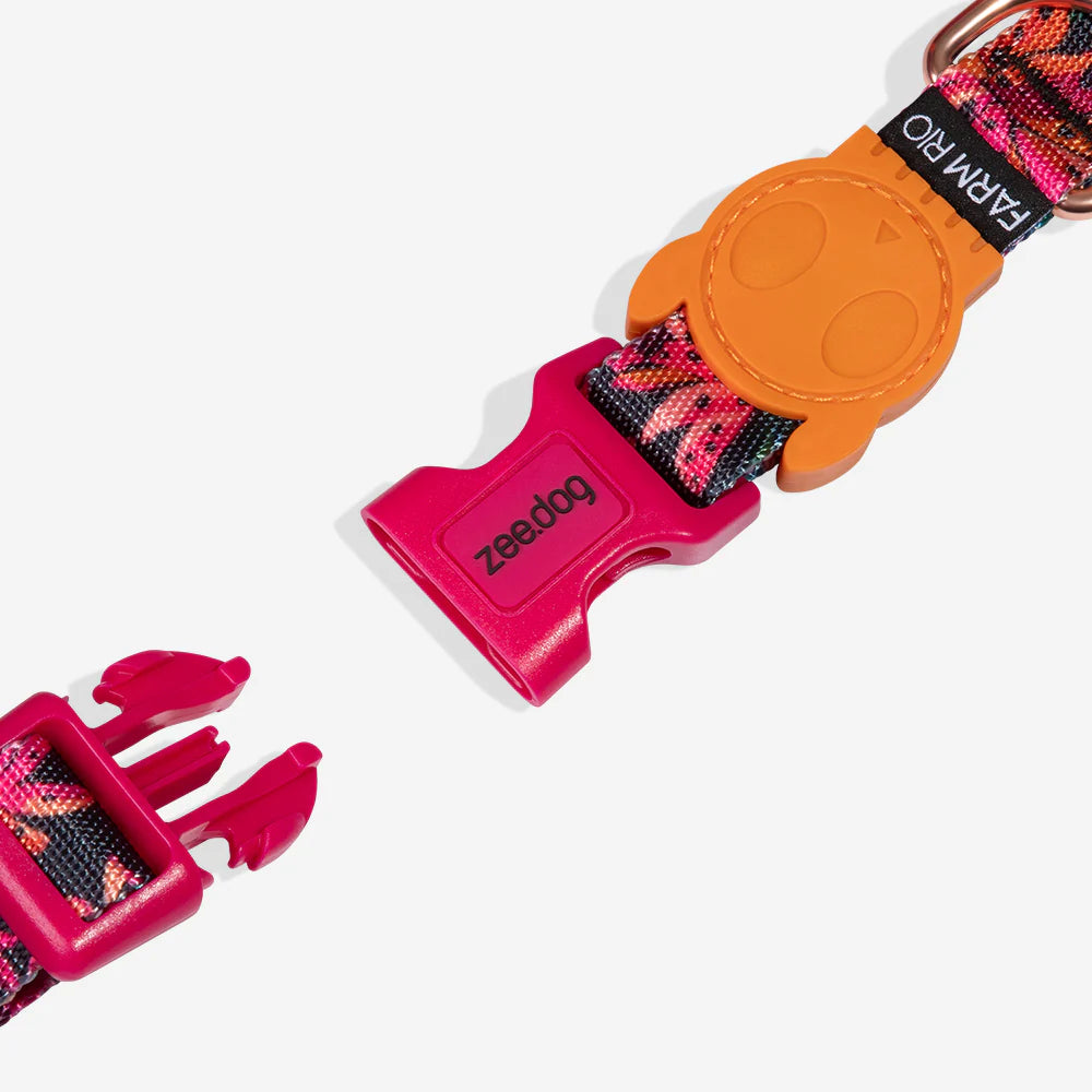 Zee.Dog Collar | Selva