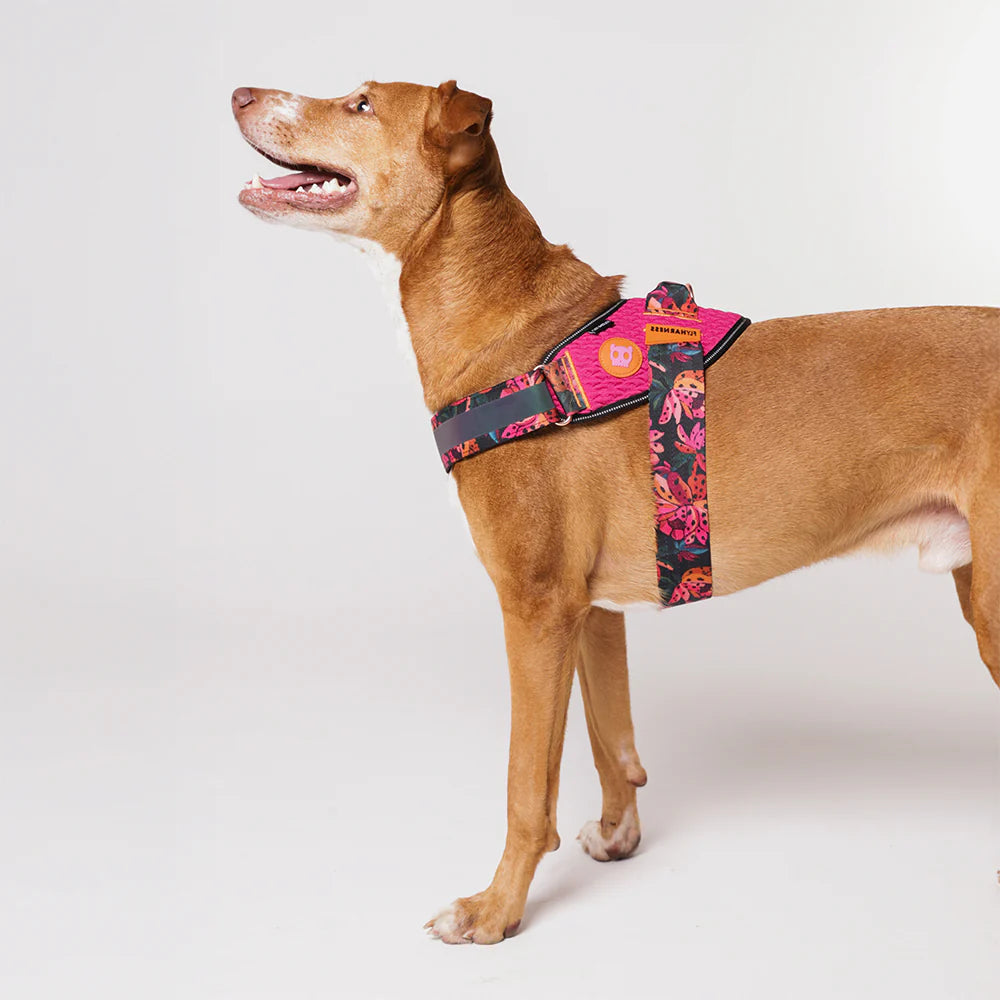 Zee.Dog FlyHarness | Selva