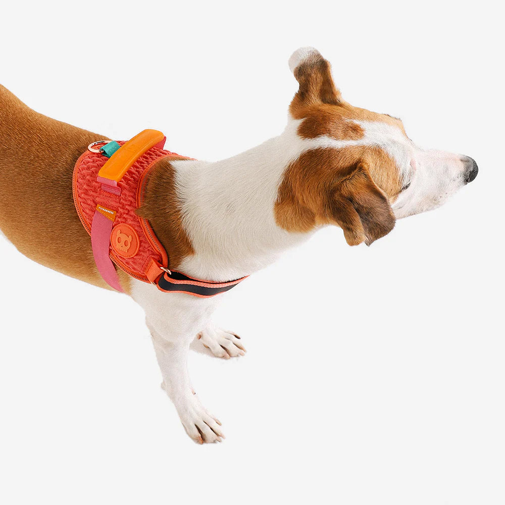 Zee.Dog FlyHarness | Gazelle