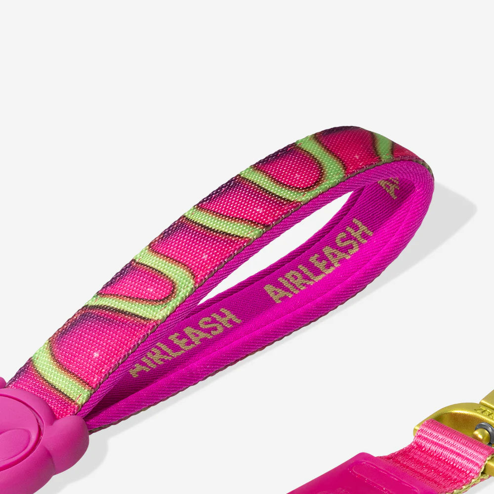 Zee.Dog H3D Airleash | Jelly