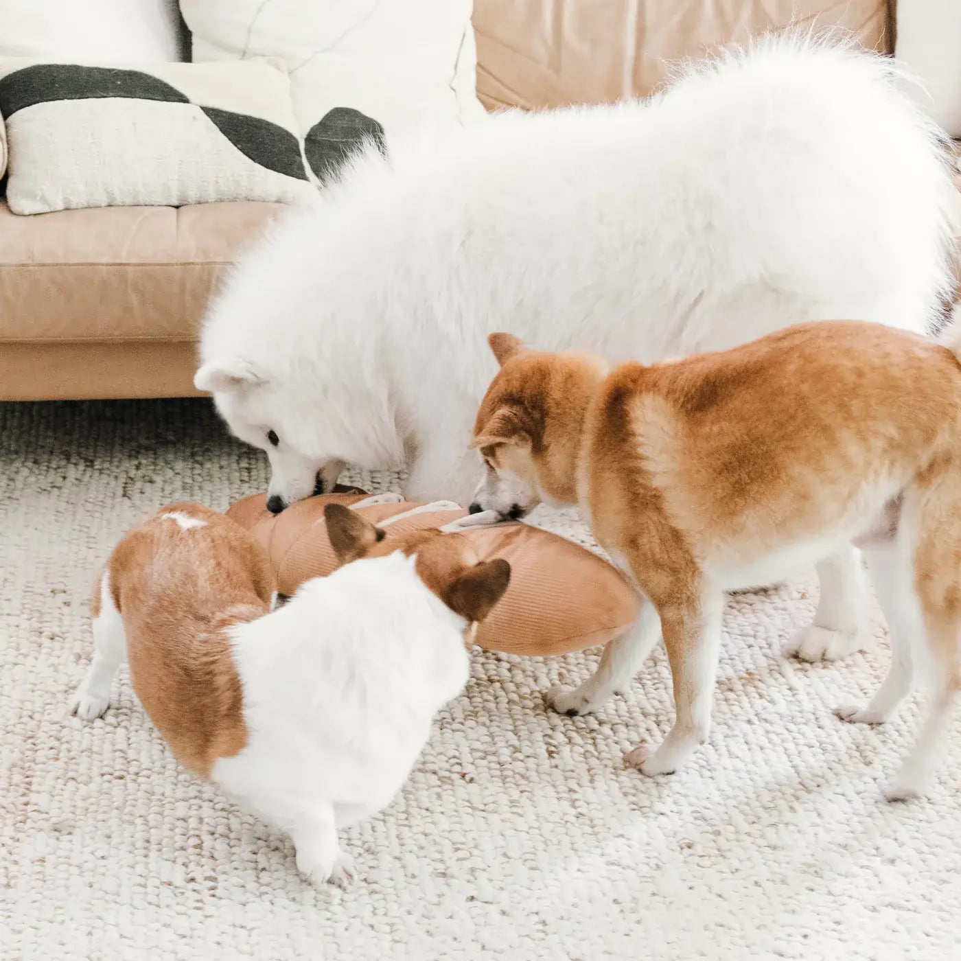 Lambwolf Giant Baguette Nosework Toy