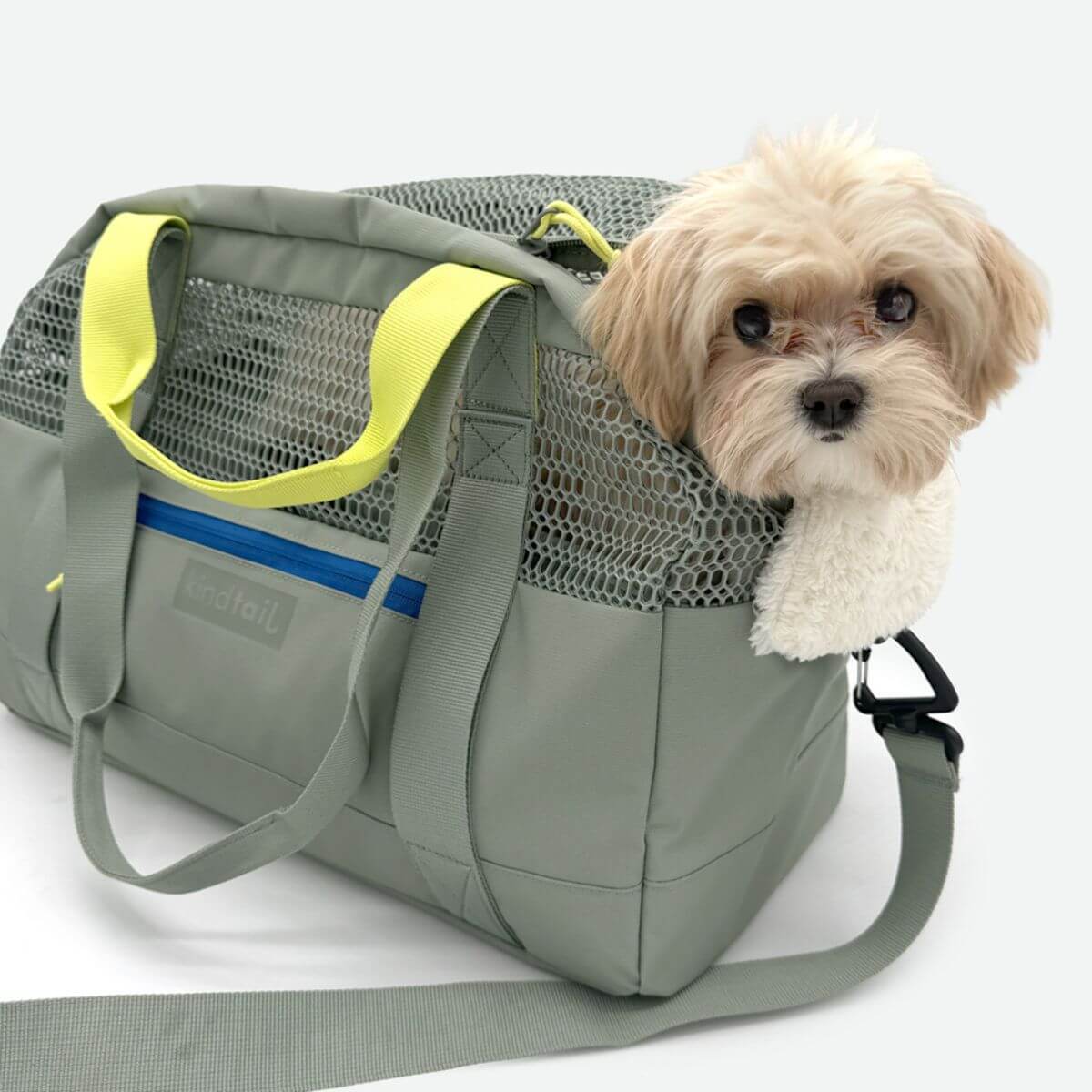 KindTail PAWD Pet Carrier Bag