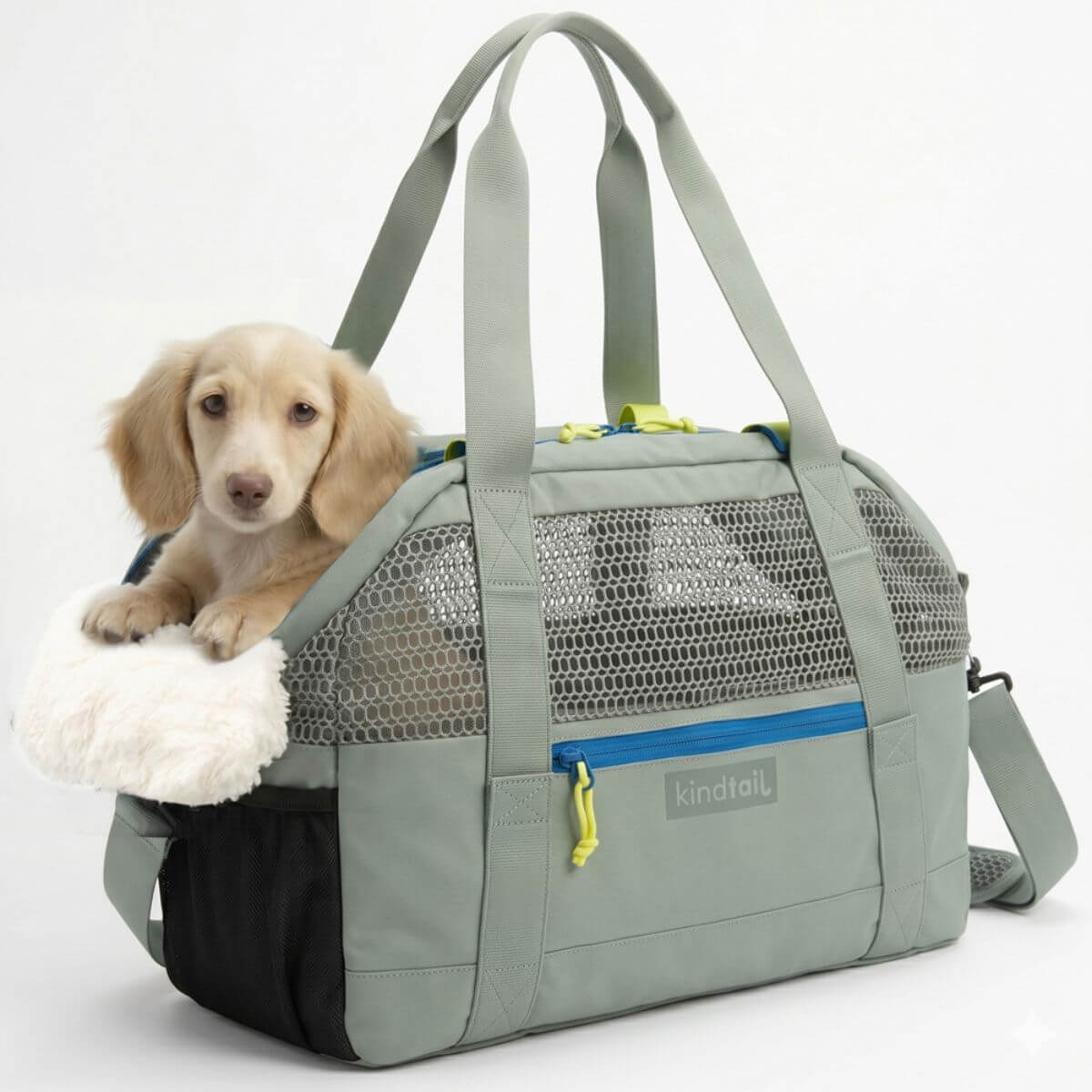 KindTail PAWD Pet Carrier Bag