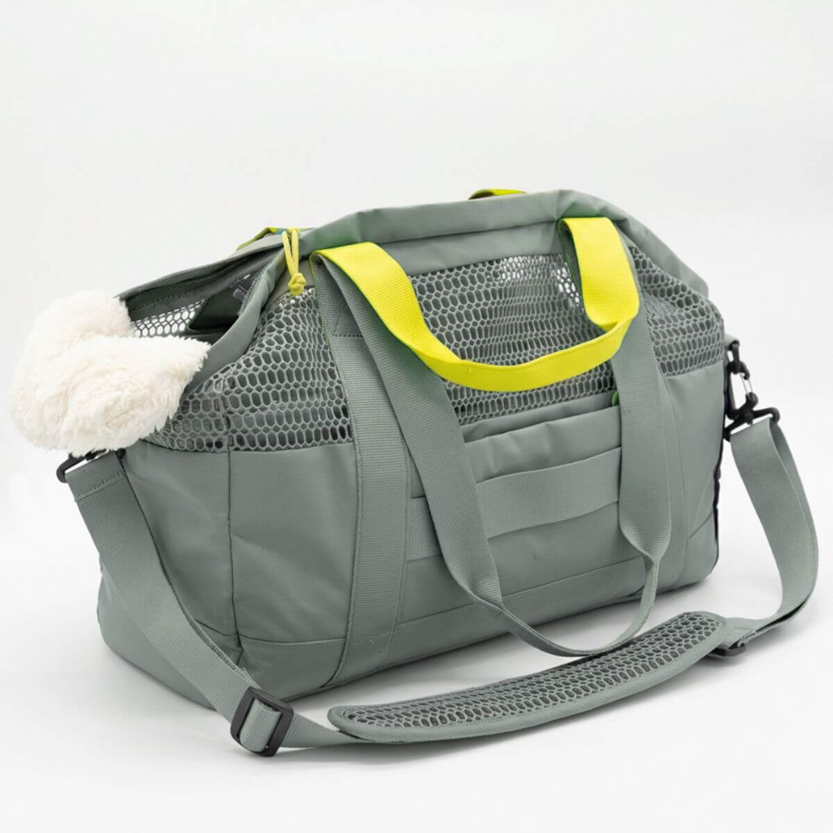 KindTail PAWD Pet Carrier Bag