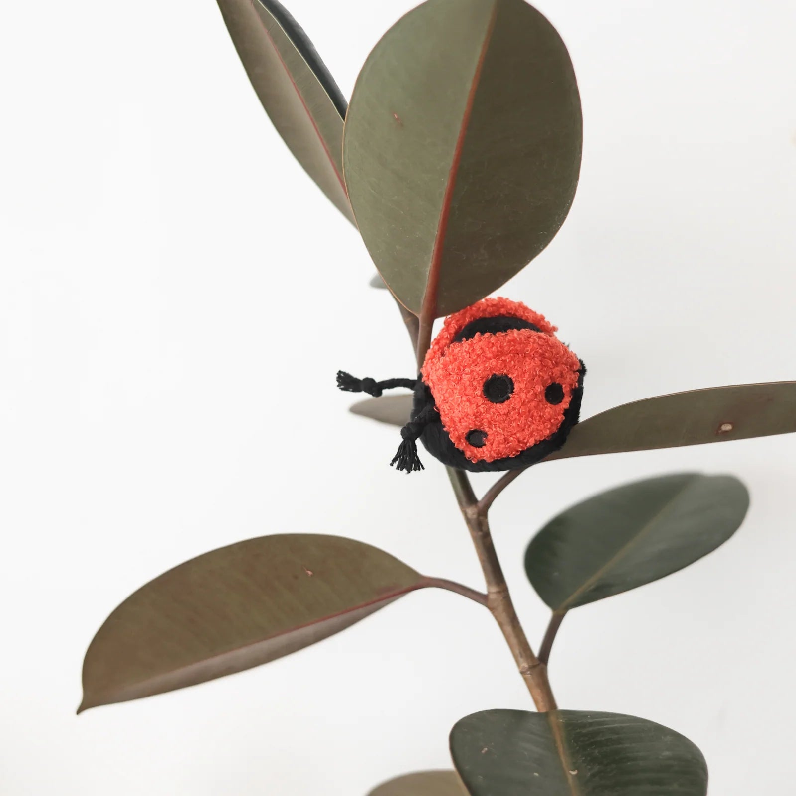 Lambwolf Petite Ladybug POP Toy