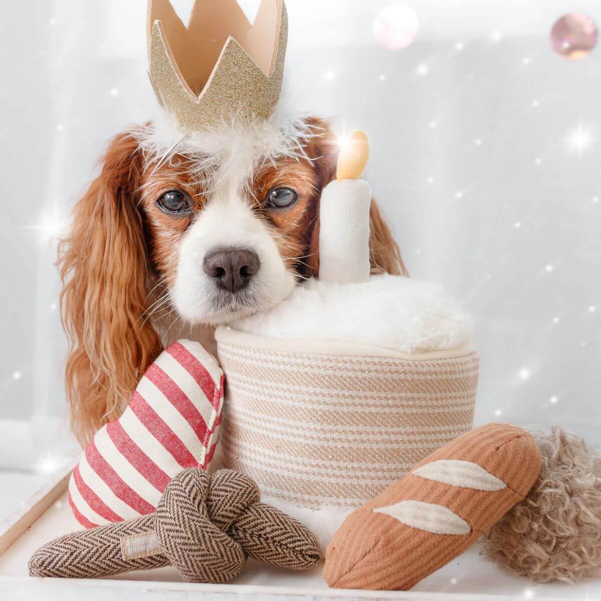 Cavelier with the Lambwolf birthday cake.