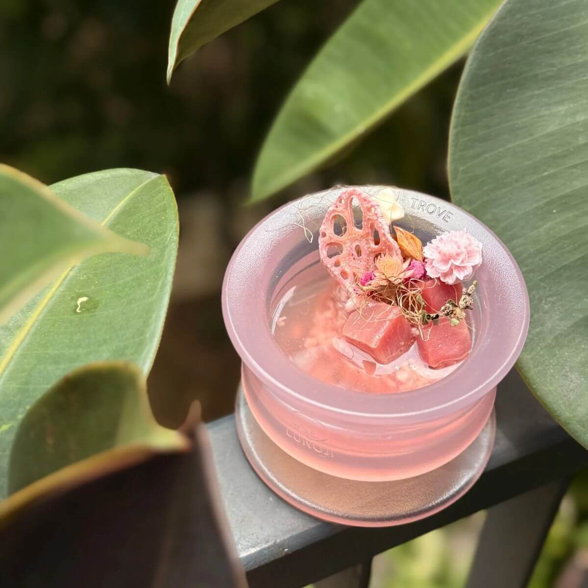 Lunoji Trove Limited Edition | Glacier Rose