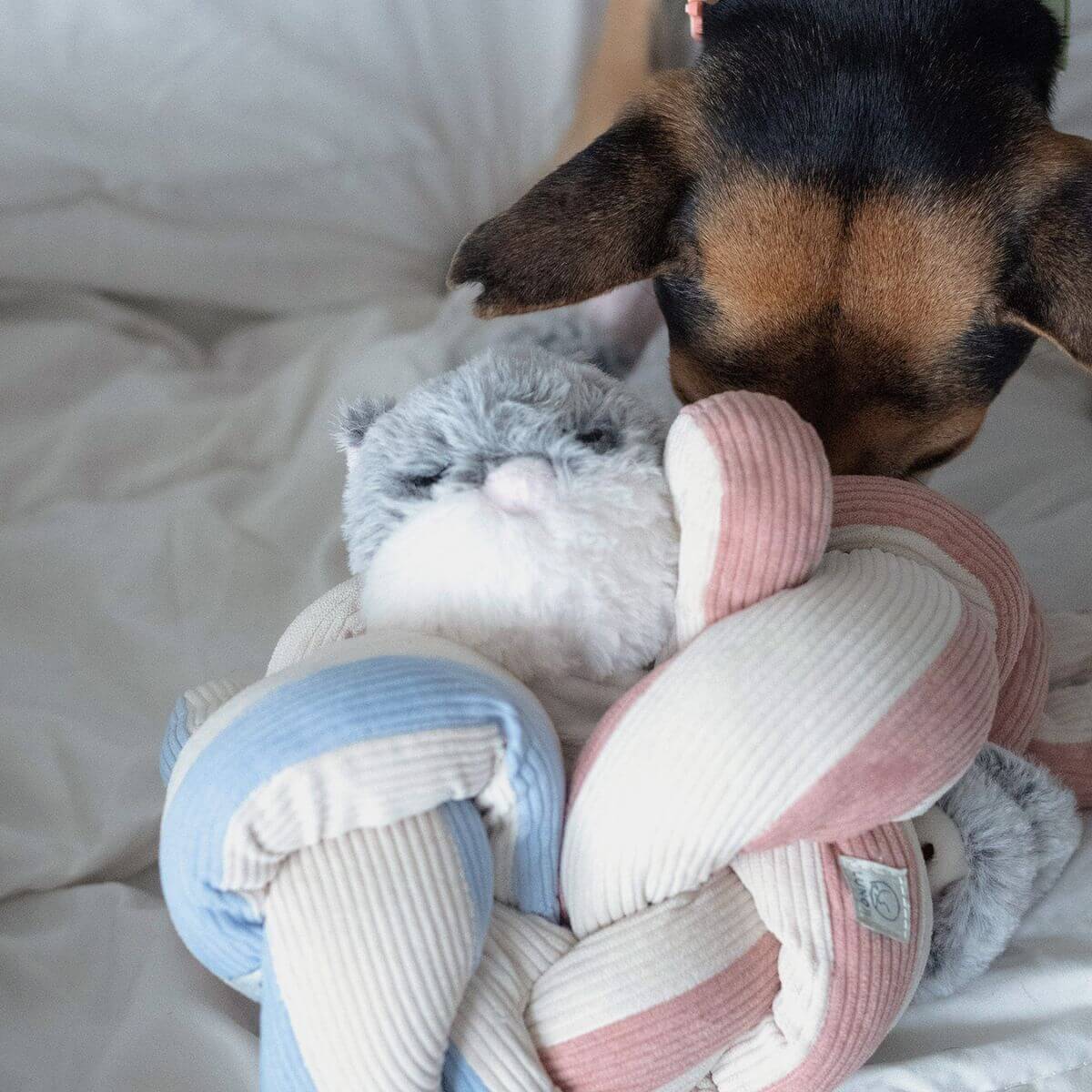 Lunoji Udon Snuffle Blush Pink knotted with the Powder Blue and Hugaboo in front of a dog.