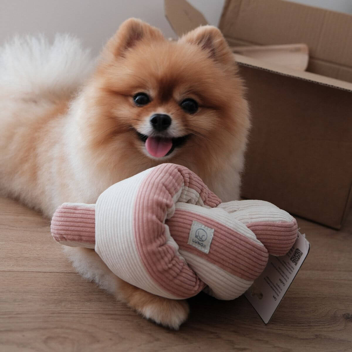 A pomeranian with the Lunoji Udon Snuffle Blush Pink.