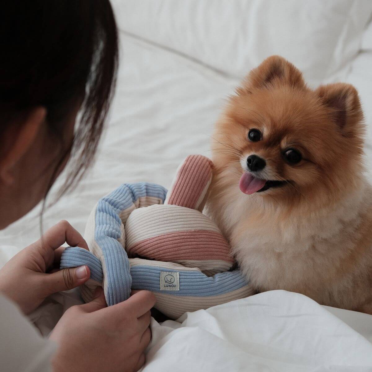 Lunoji Udon Snuffle Blush Pink knotted with the Powder Blue in front of a pomeranian.