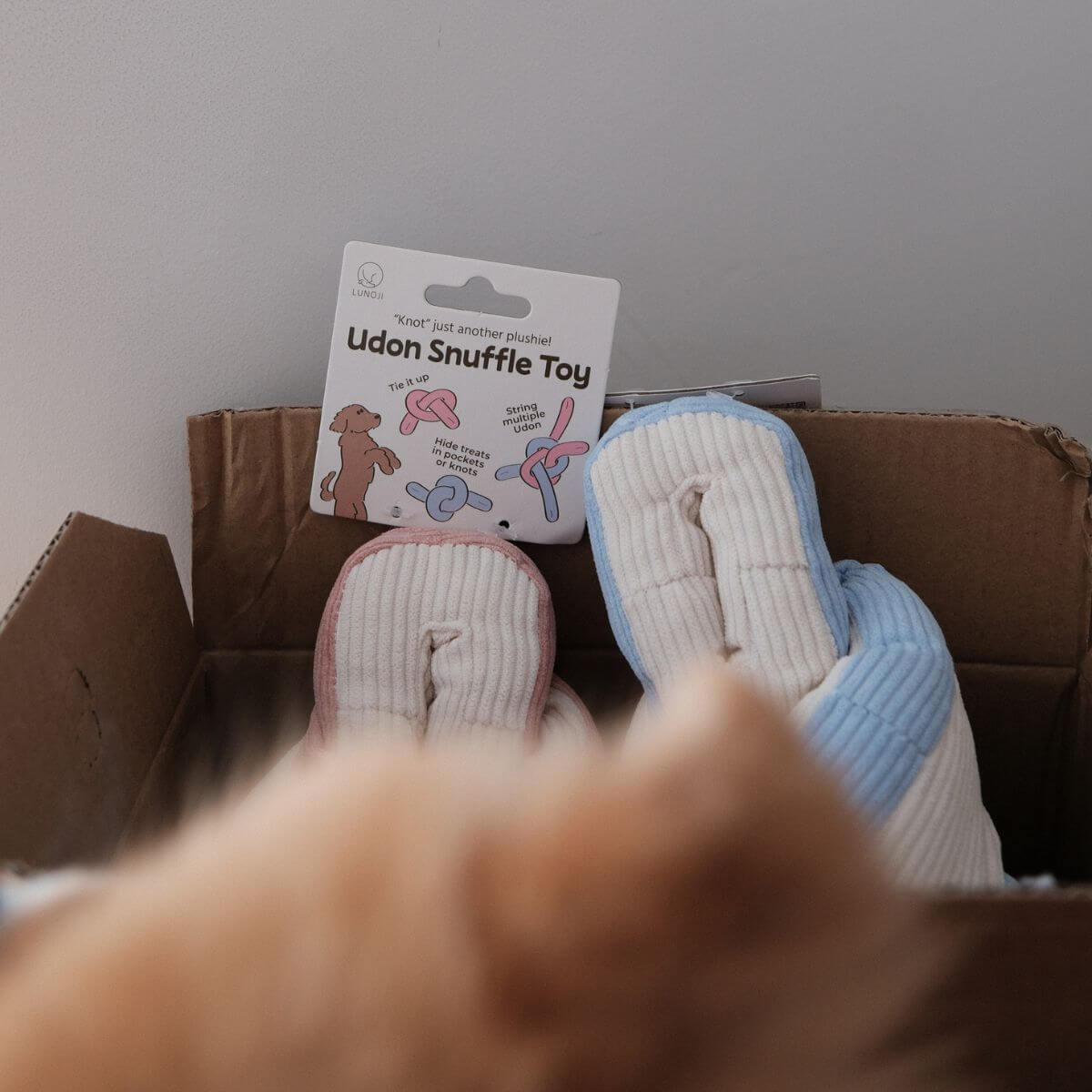 Lunoji Udon Snuffle Blush Pink and Powder Blue in a cardboard box.