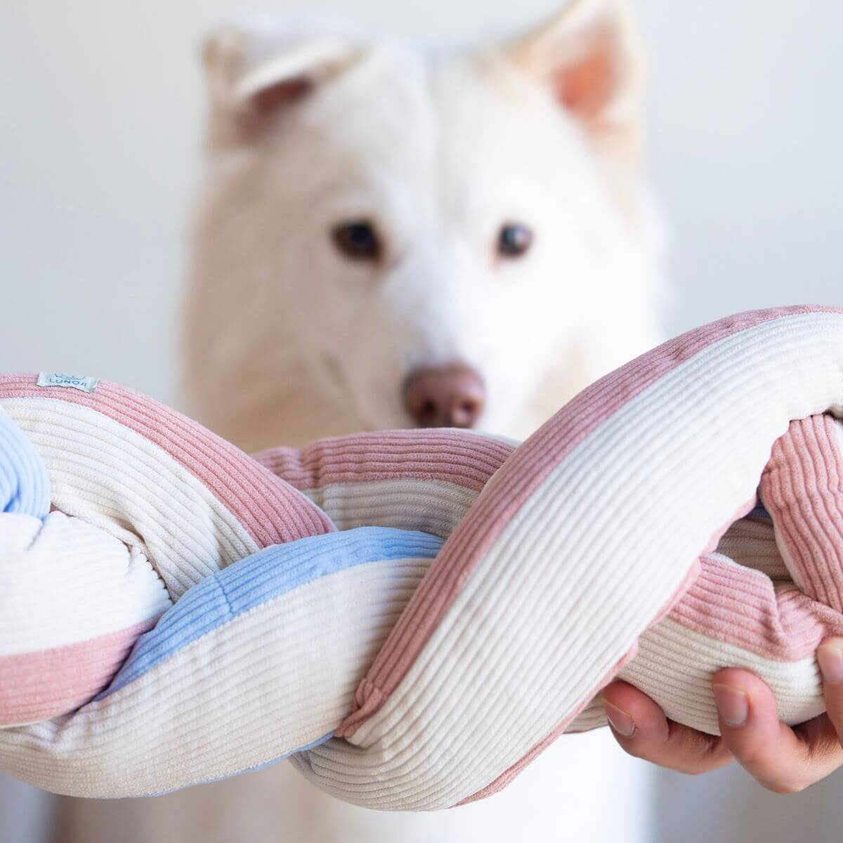 Lunoji Udon Snuffle Blush Pink knotted with the Powder Blue in front of a dog.