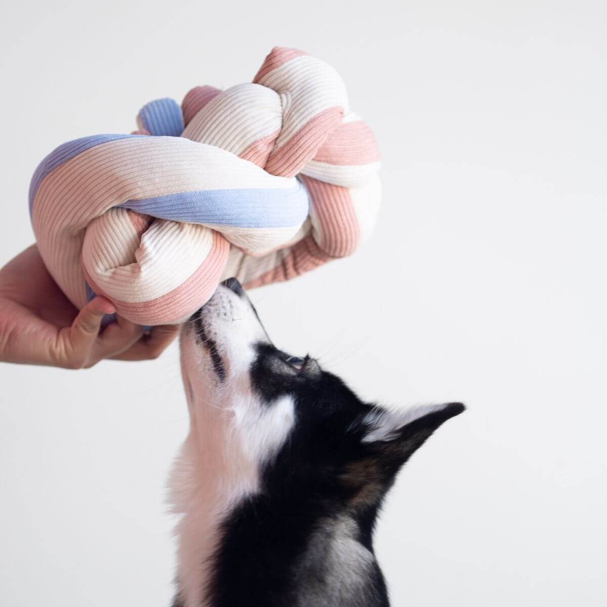 Lunoji Udon Snuffle Blush Pink knotted with the Powder Blue in front of a dog.
