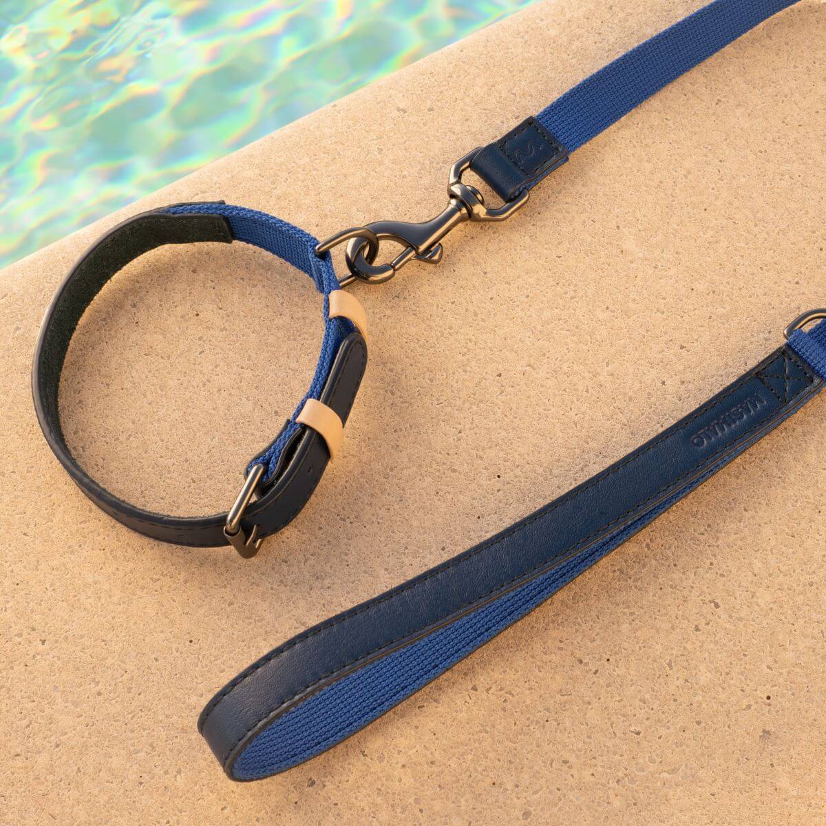 Masimalo Lead in navy / grandala blue and a matching collar by the pool.