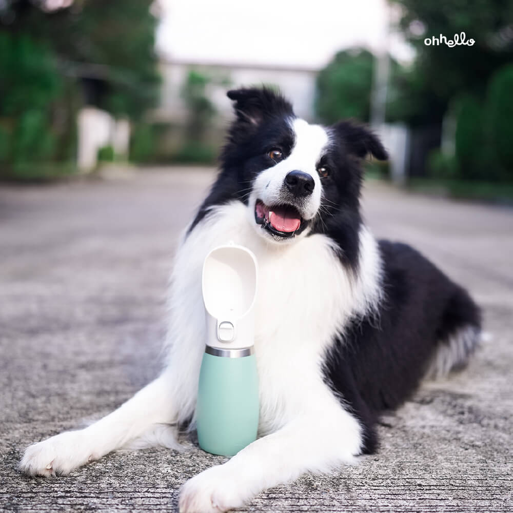 ohhello Insulated Travel Pet Bottle