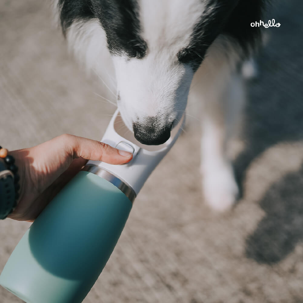 HEMLI 32 oz. Dog Water Bottle, Insulated Dog Travel Water Bottle