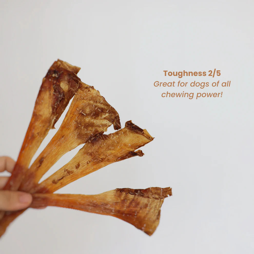 The Source-Sage Club Ostrich Pressed Flat Tendon