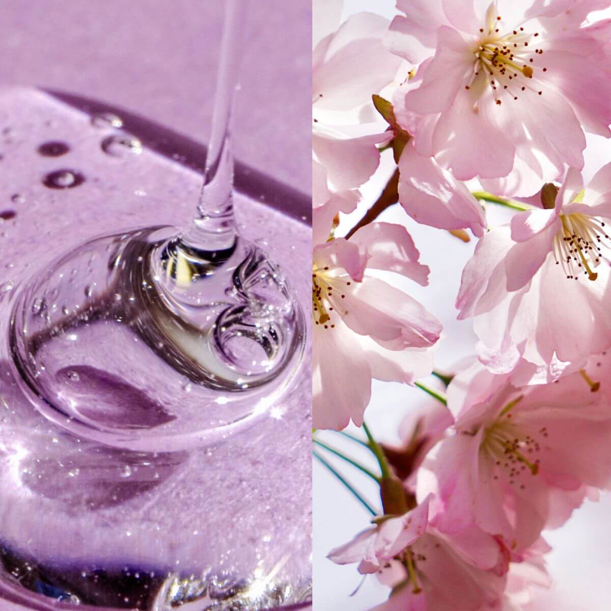 Texture of the PetO'CERA Body Wash Nourishing.