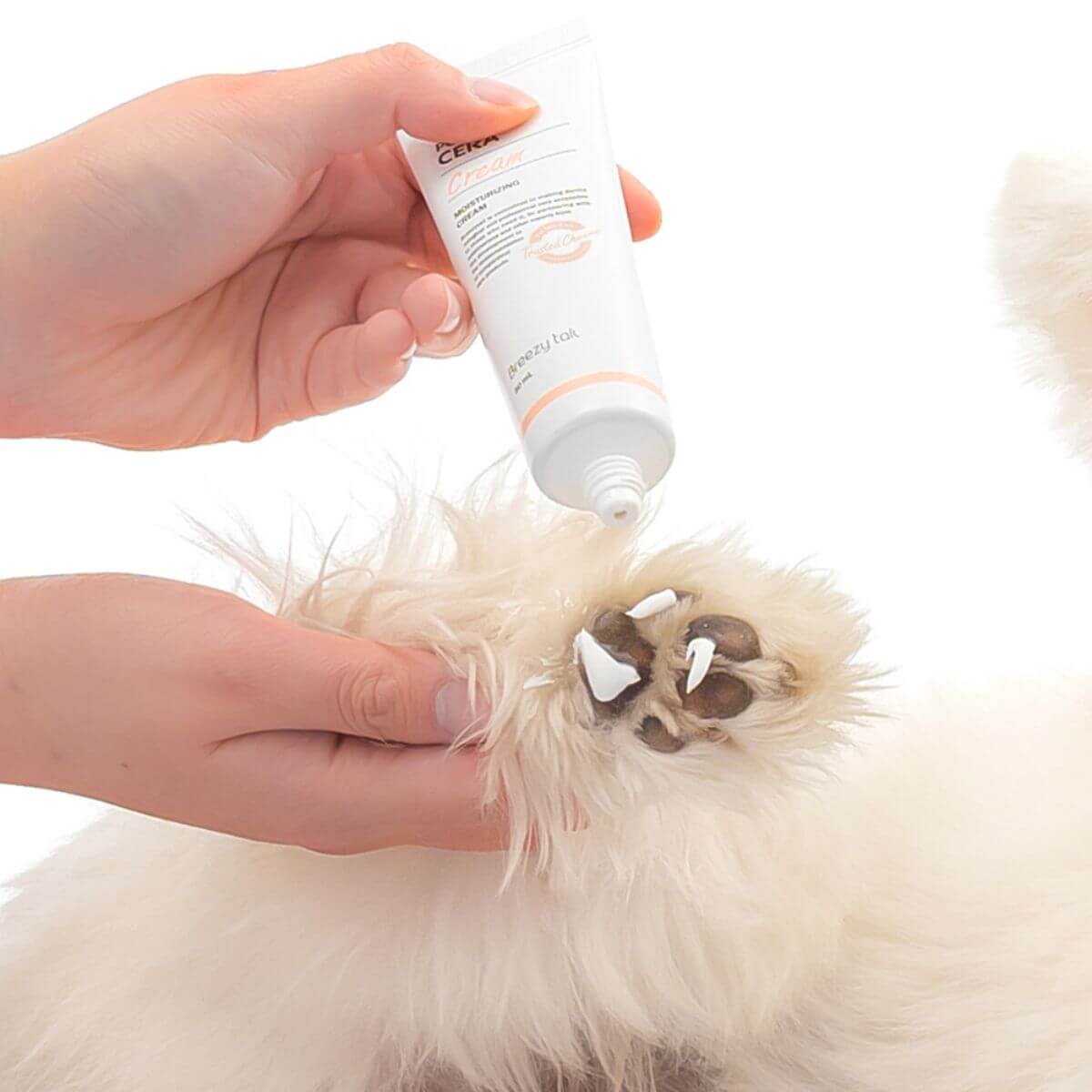 PetO'CERA Ceramide Cream use on a paw.