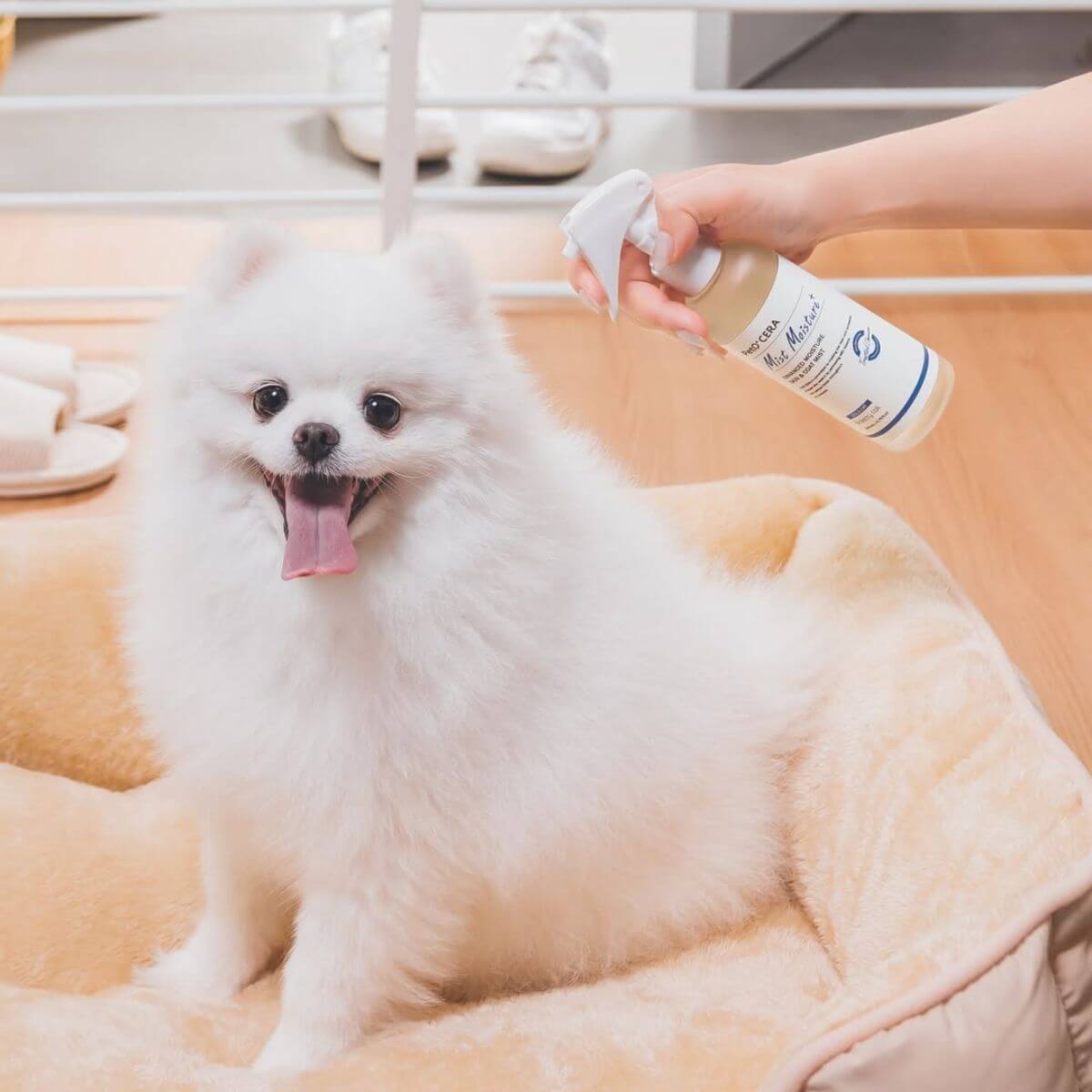 PetO'CERA Mist Moisture Plus and a white pomeranian.