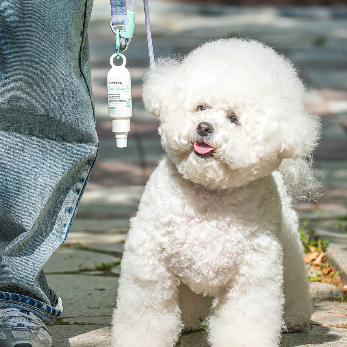The PetO'CERA Outdoor Guardian Mist outdoors and attached to the leash.