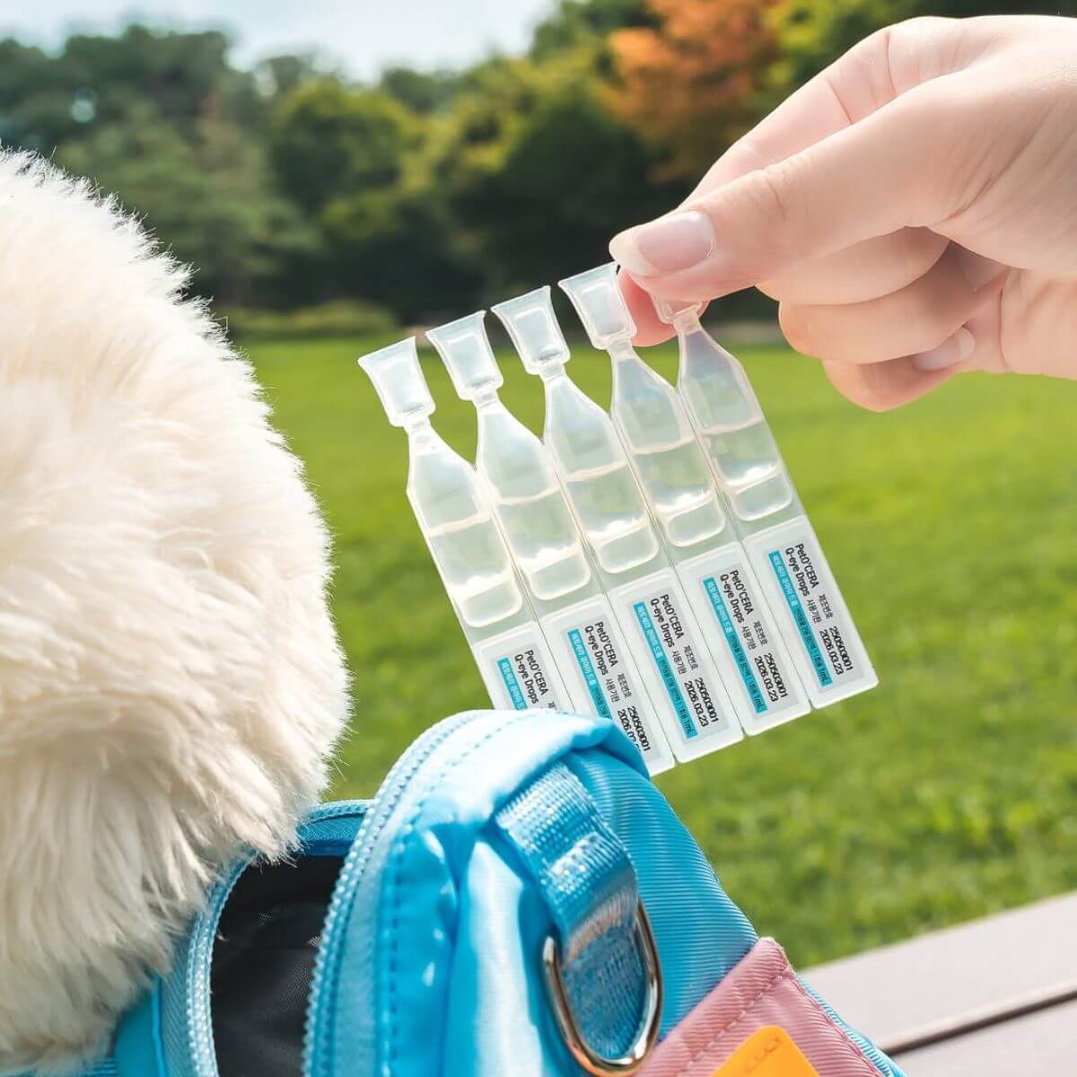 Portable PetO'Cera Q Eye Drops to bring around in a bag for a day out.