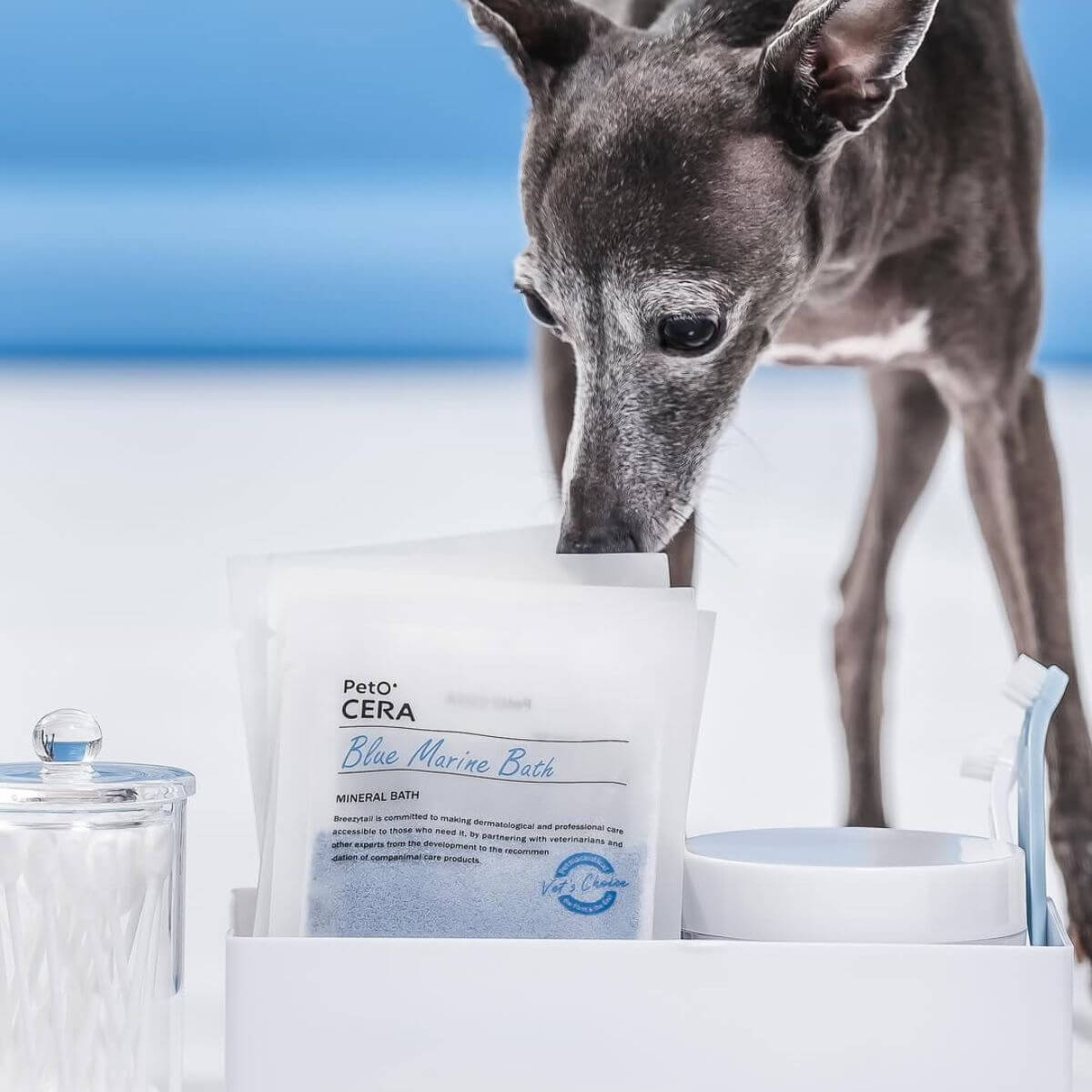A greyhound with the PetO'CERA Spa Blue Marine Bath.