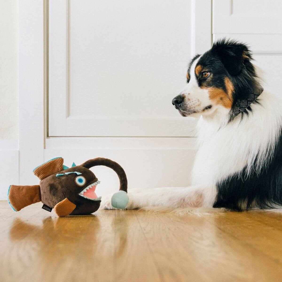 A dog with the PLAY Ocean Buddies Angler Fish in front of it.