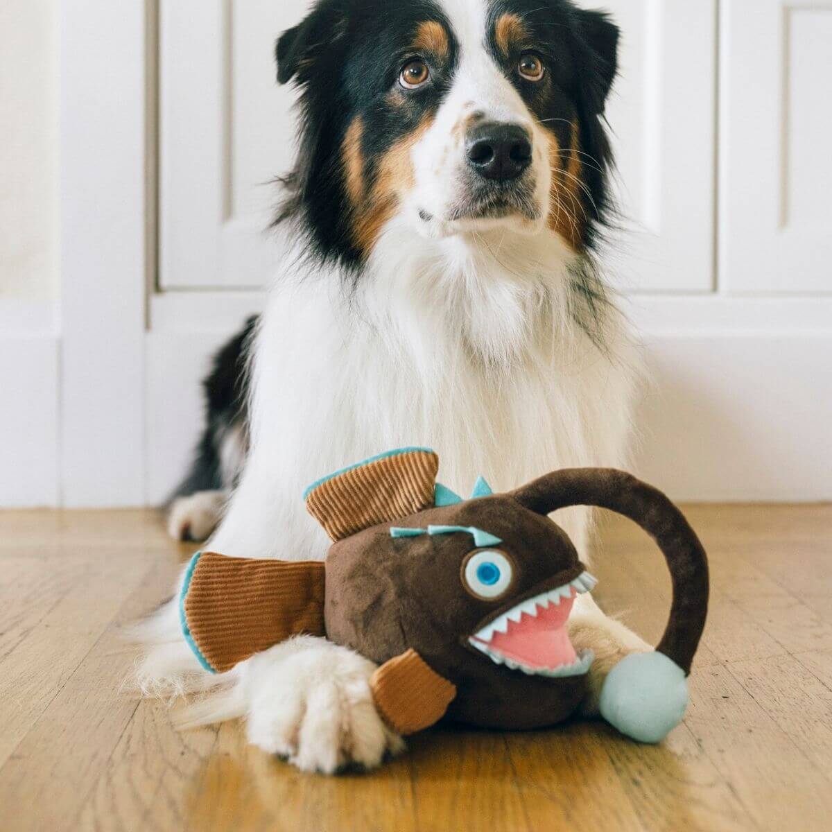 A dog with the PLAY Ocean Buddies Angler Fish in front of it.