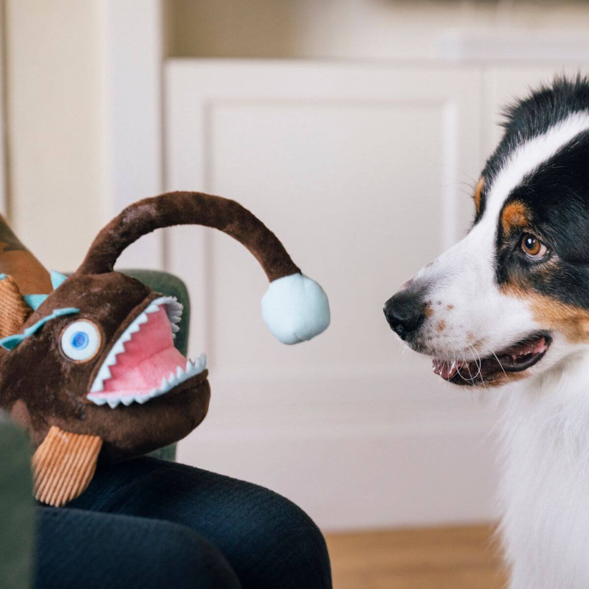 A dog with the PLAY Ocean Buddies Angler Fish in front of it.
