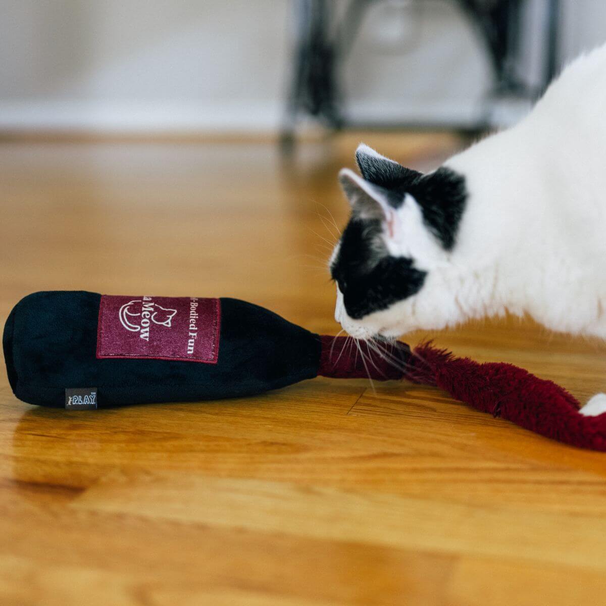 A black and white cat sniffing out the Play Pet Feline Frenzy Catbernet Sauv Kicker on the floor.